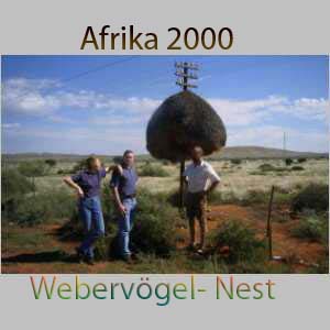 Afrika 2000 (13).jpg